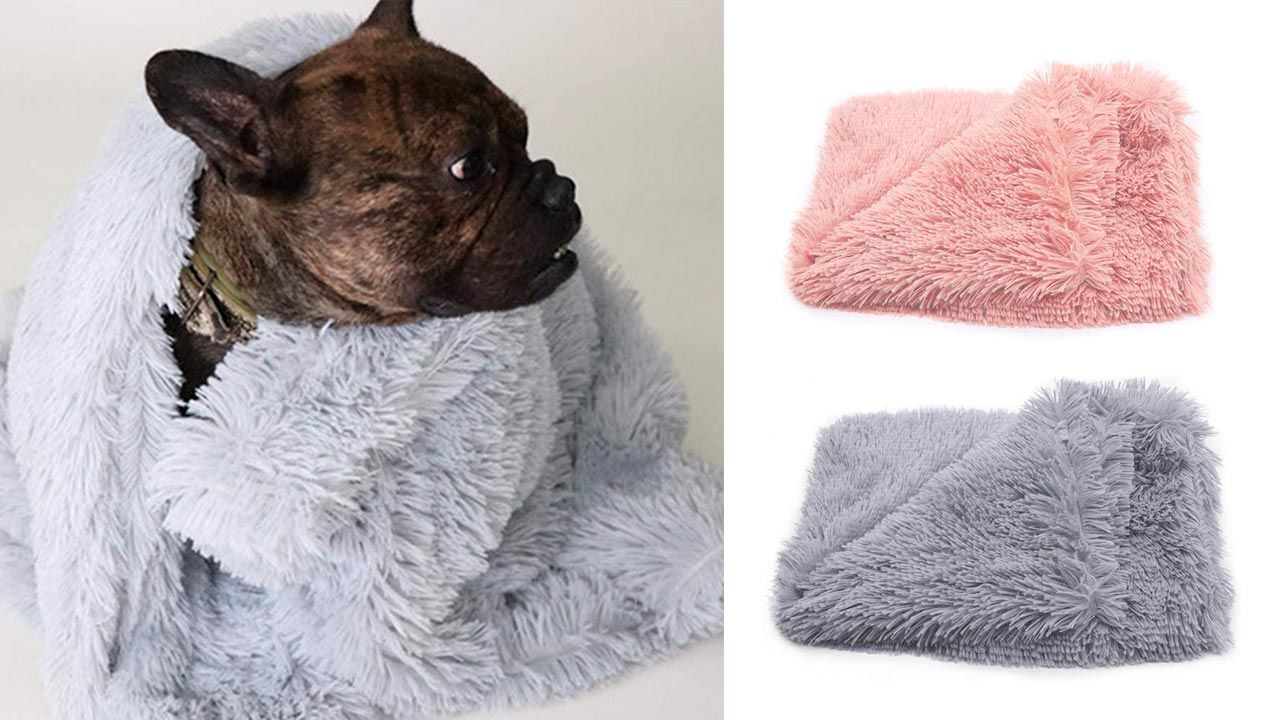 mantitas economicas perros gatos 3