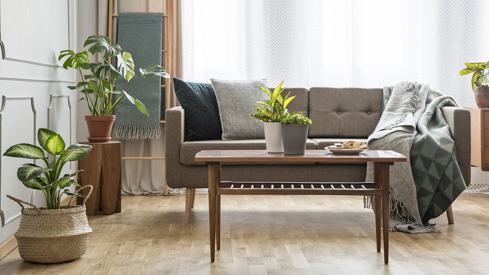 plantas interior hogar otono