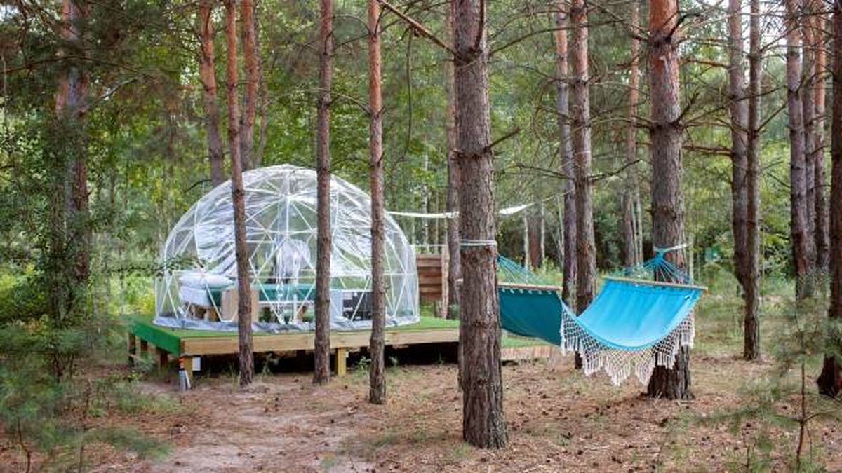 hotel burbuja o como dormir bajo las estrellas bosque