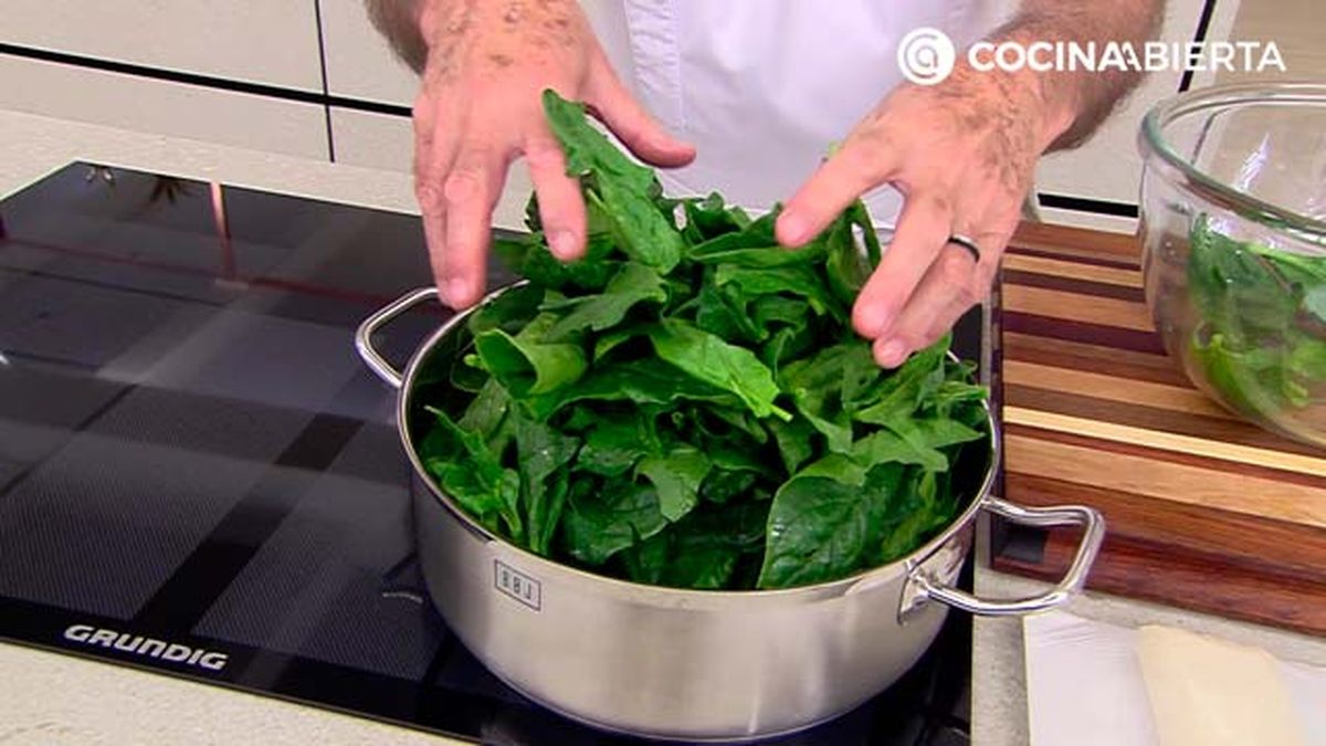 KARL6987 spanakopita p1