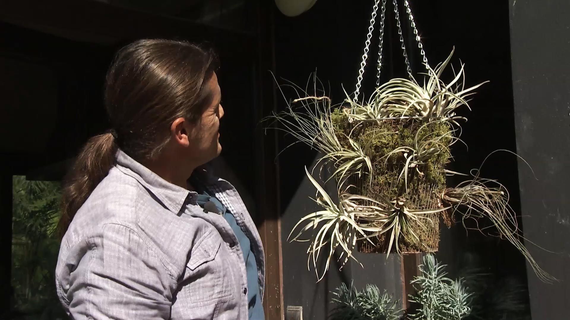Deco729 jardineria claveles aire xl