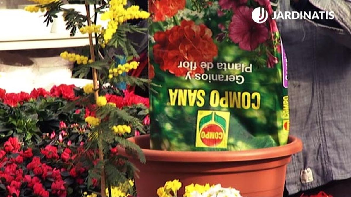 sustrato para plantas con flor deco 425 jardin
