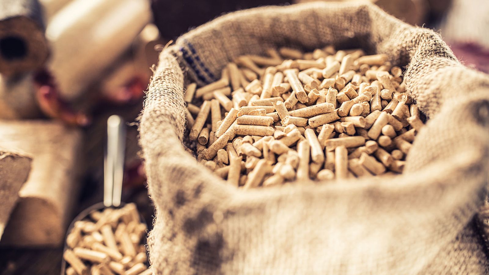 Qué son los pellets y las ventajas e inconvenientes de este combustible ecológico 2