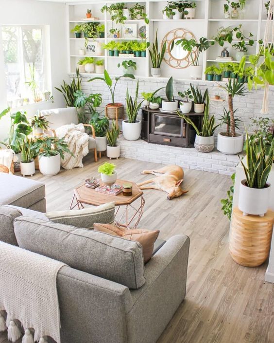 urban jungle salon 3