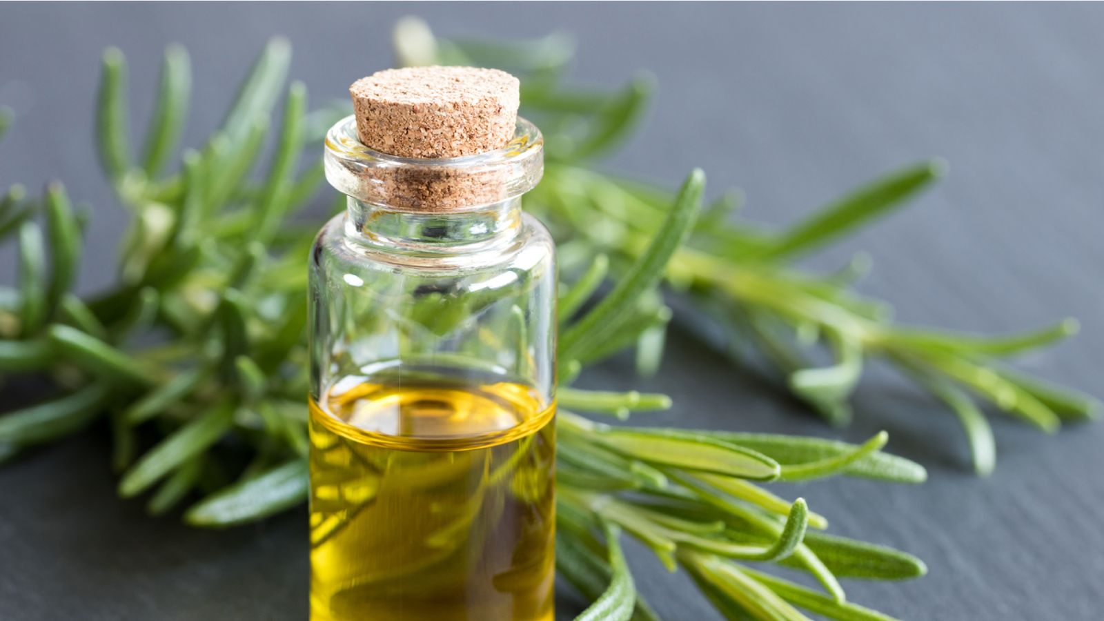 acondicionador romero pelo portada