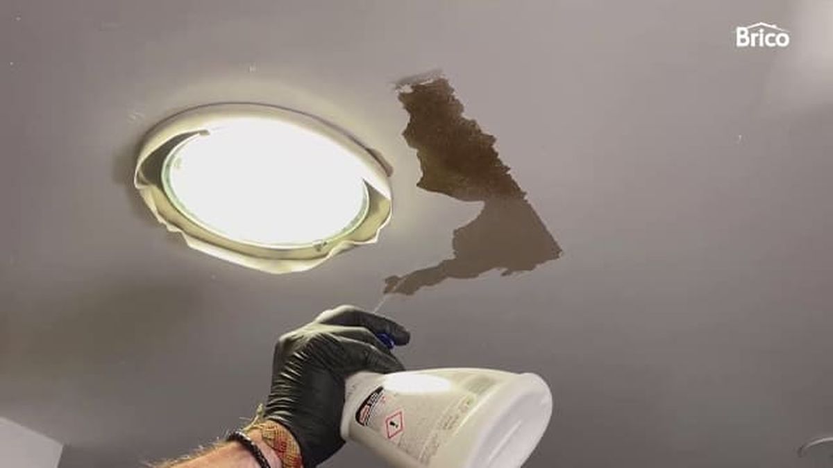 arreglar techo bano humedad desconchado paso 6