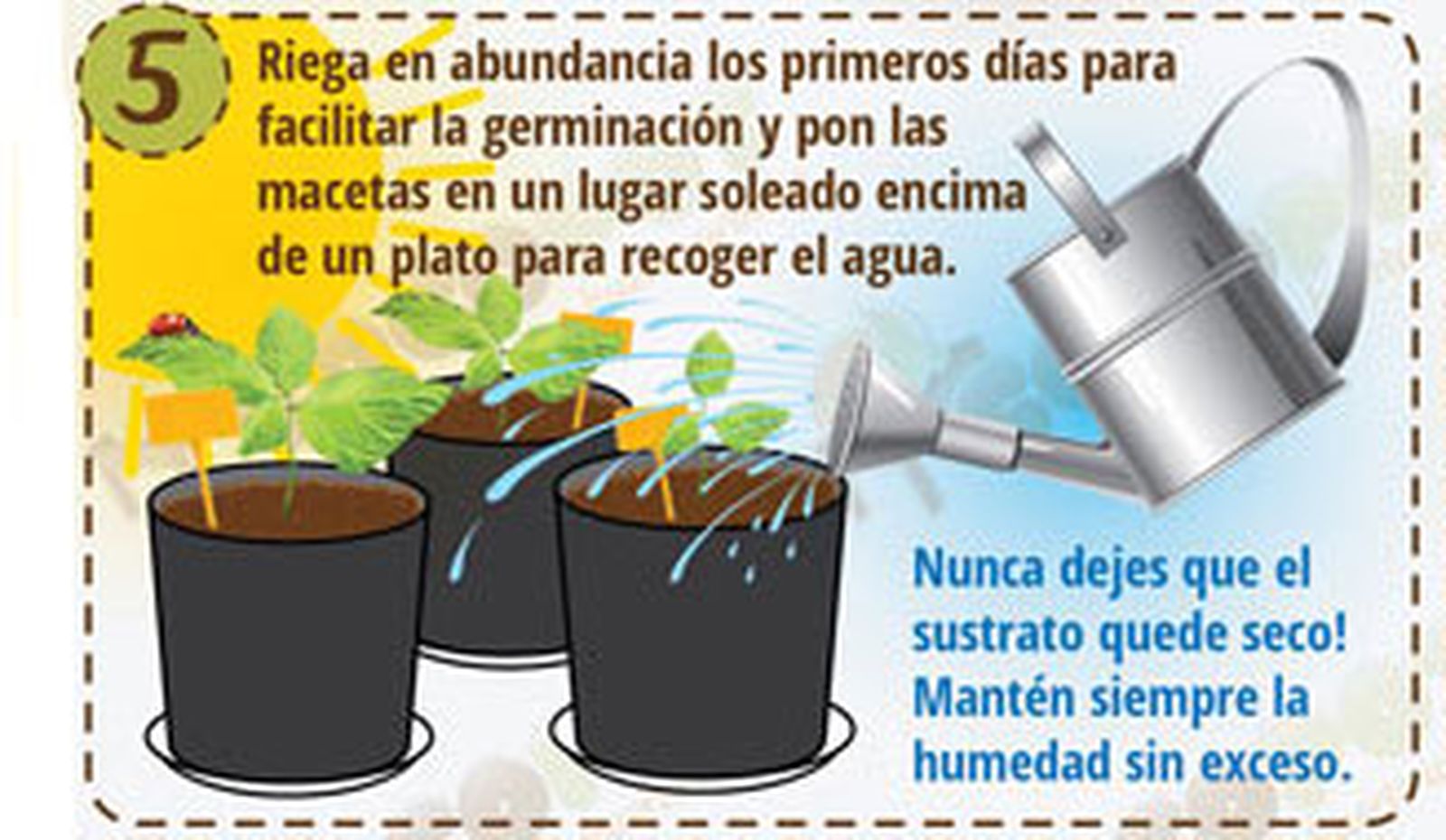 Siembre directa 5