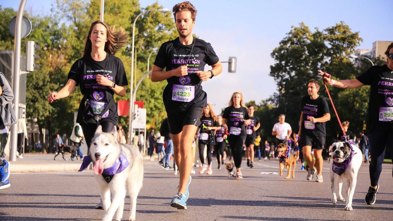 perroton madrid 2023 carrera solidaria con perros