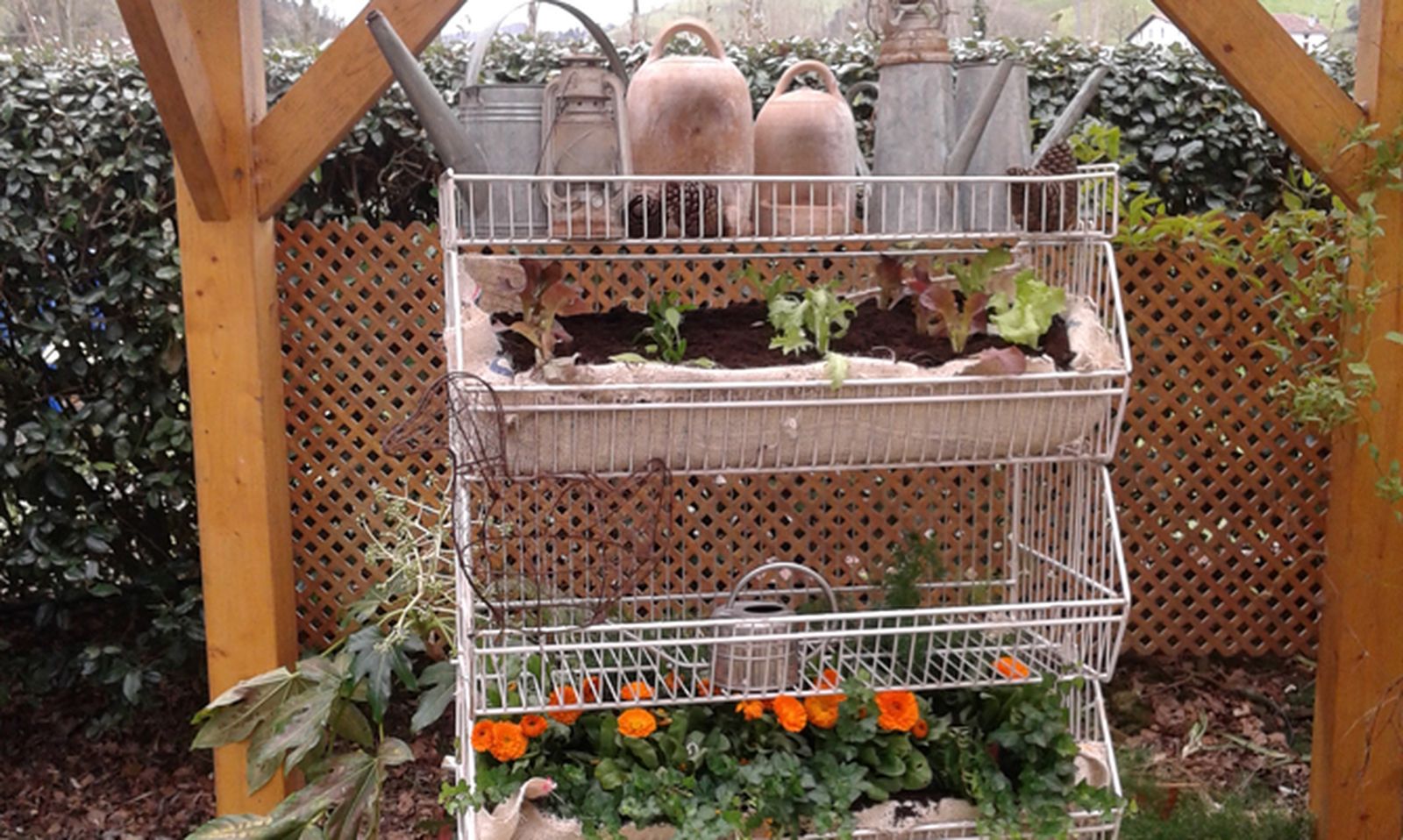 Jardín vertical reutilizando un frutero