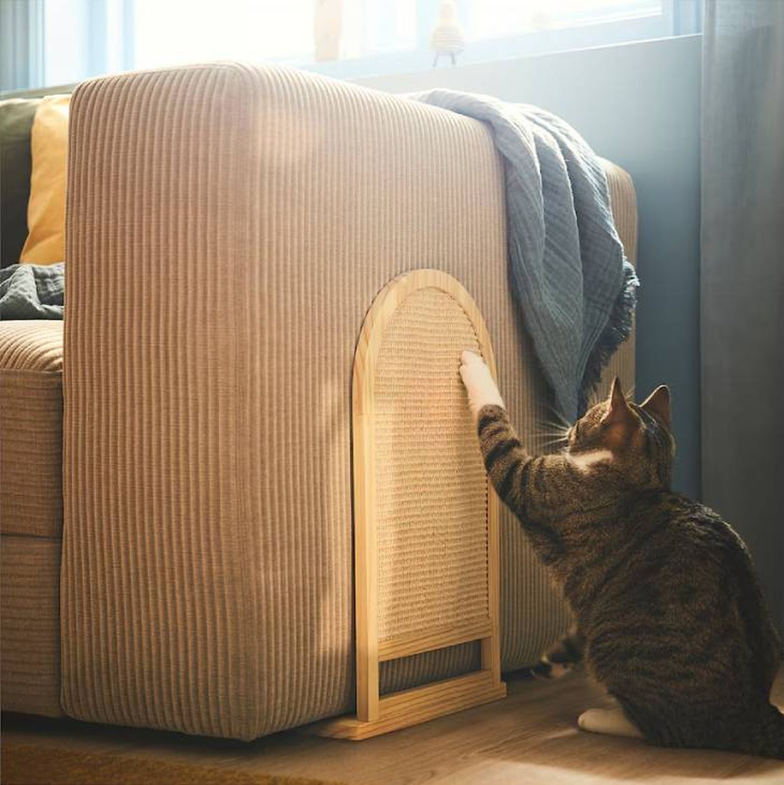 rascador gato