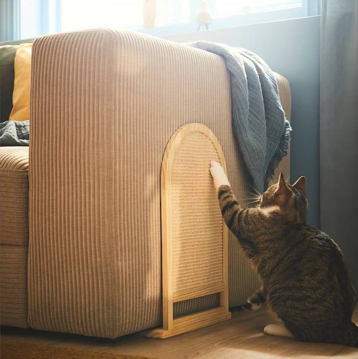 rascador gato