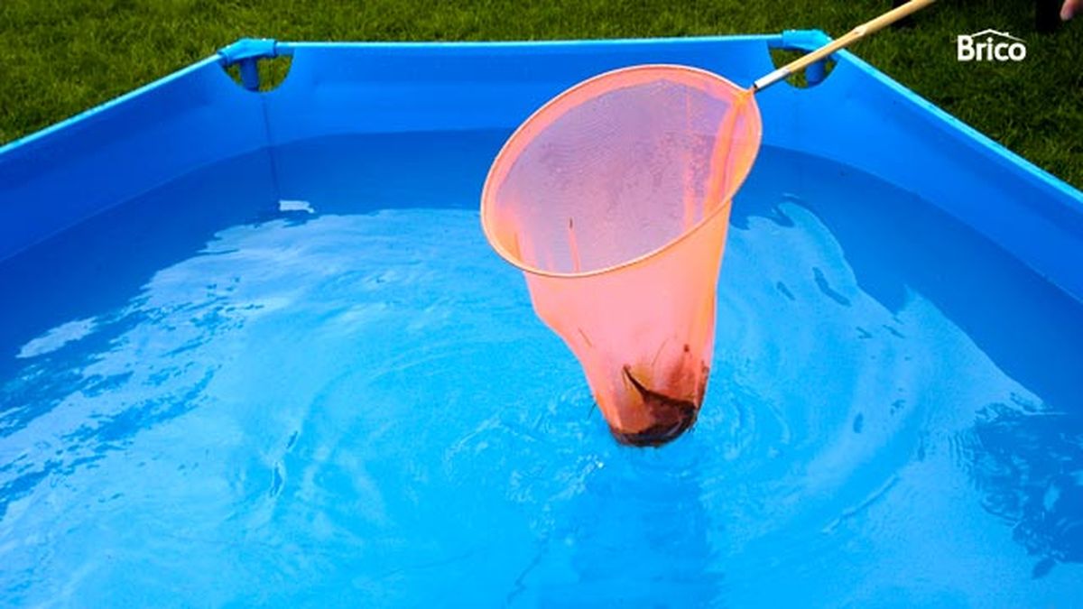 Mantenimiento de piscina infantil paso 5