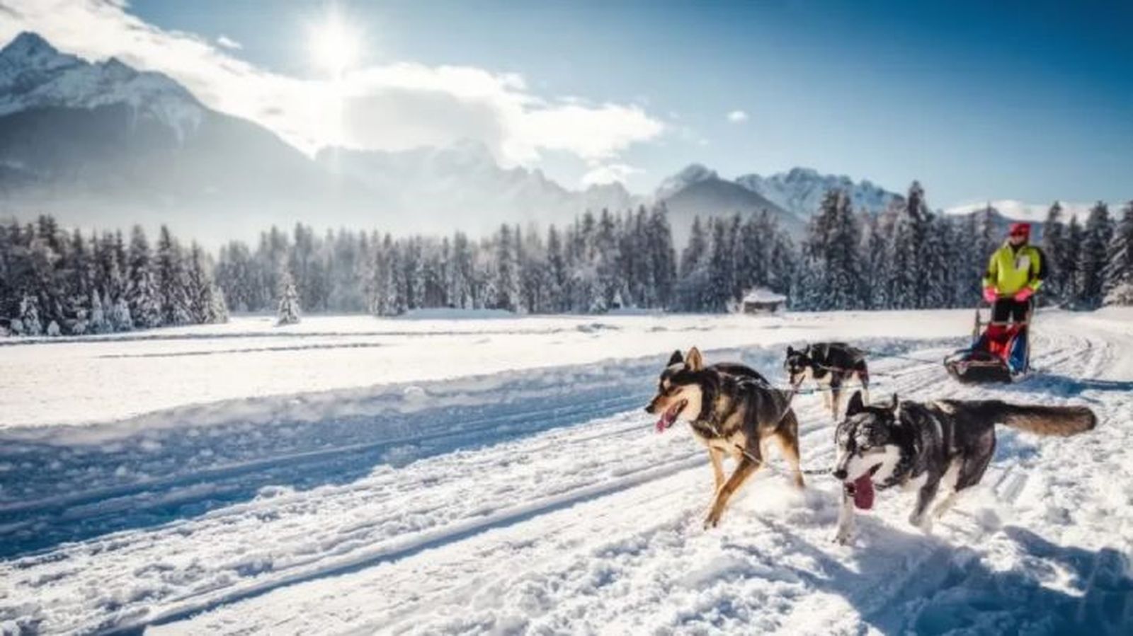 nombres para perros husky 6