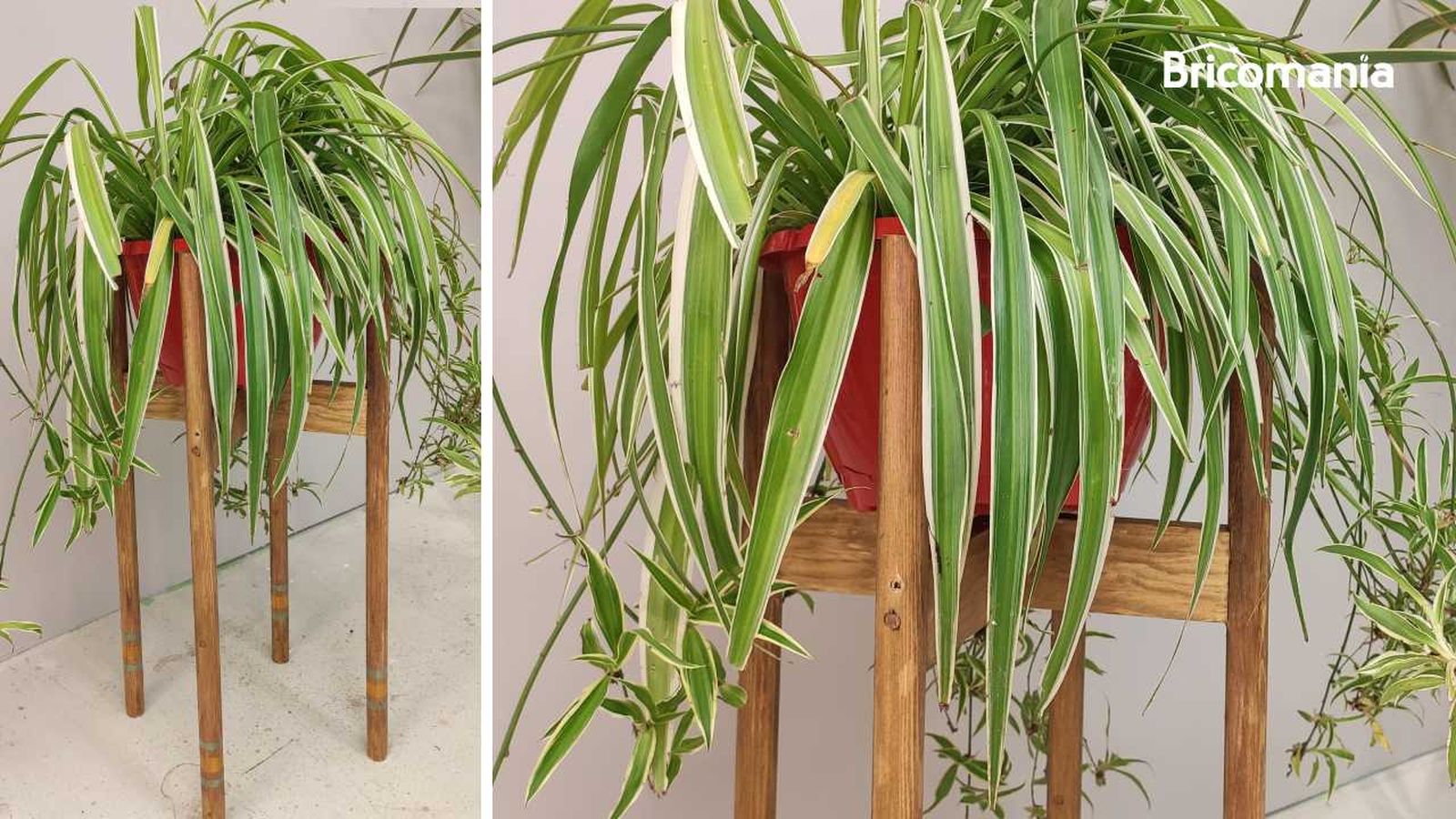 Bricomania 62 porta macetas xl