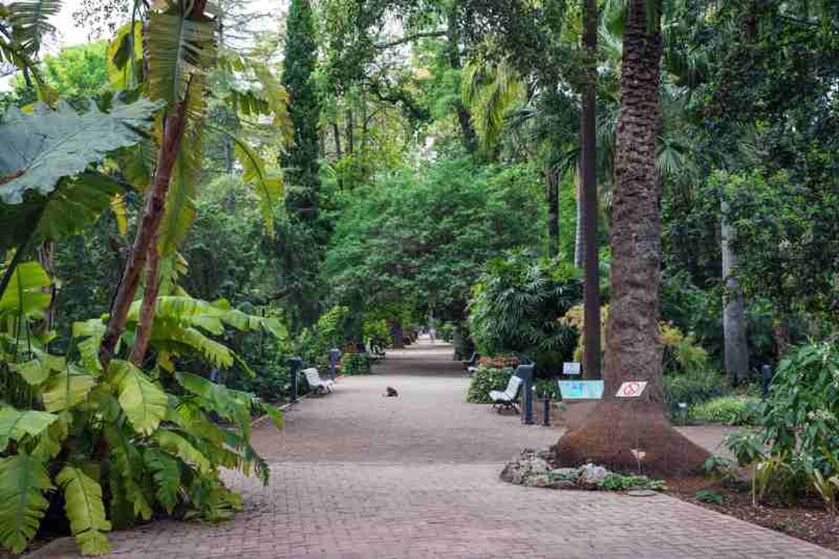 Jardín Botánico de Valencia