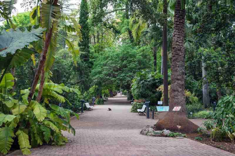 Jardín Botánico de Valencia