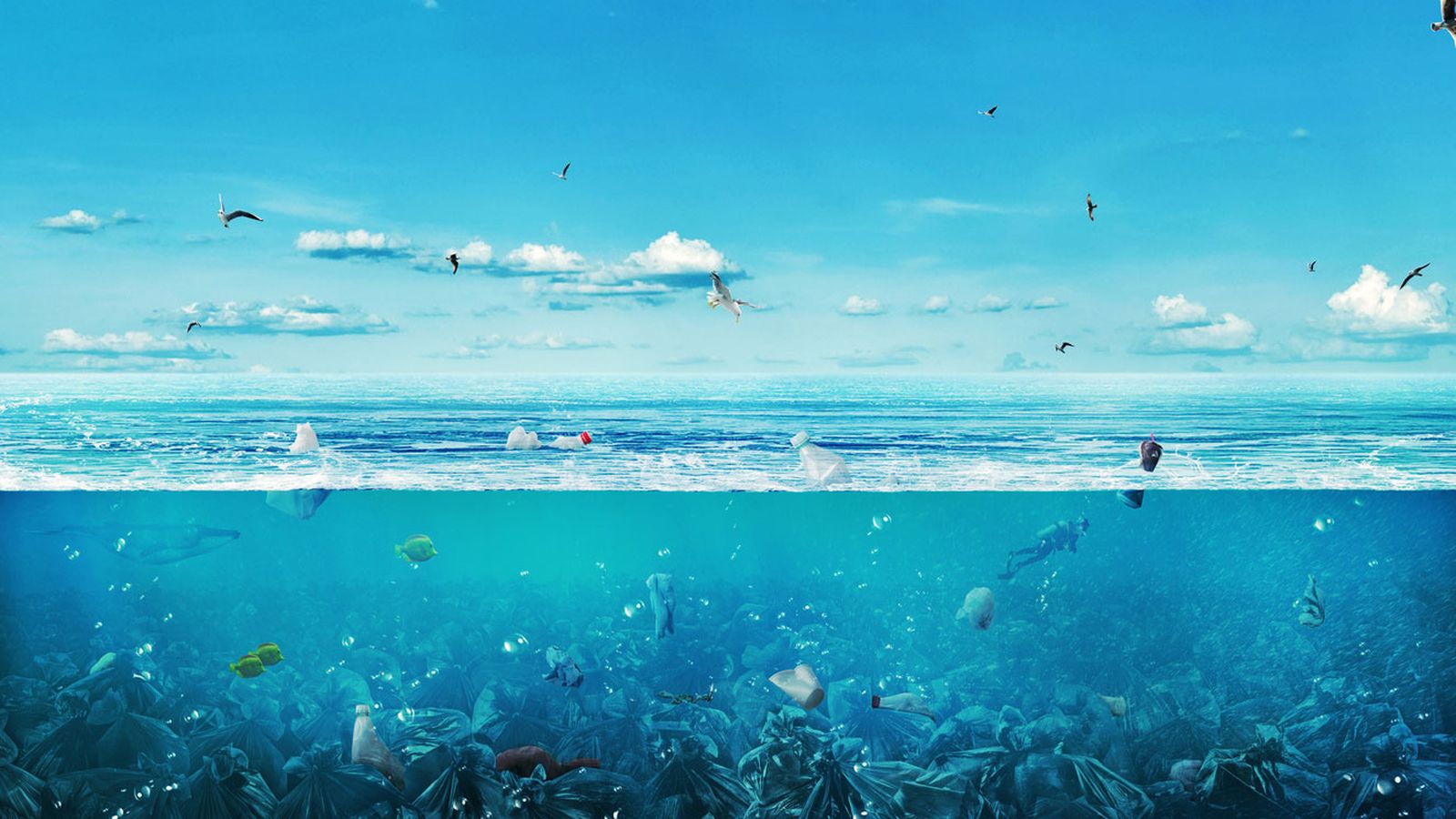 plastico mar
