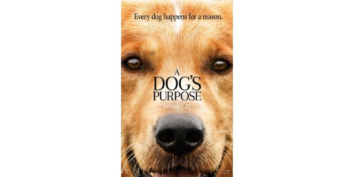 peliculas de perros mejor amigo