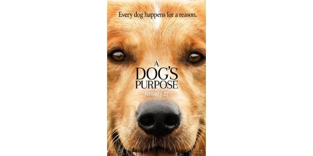 peliculas de perros mejor amigo
