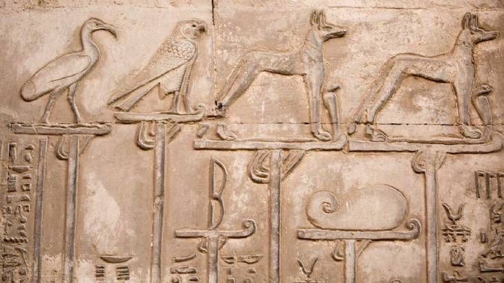 mascotas en el antiguo egipto (1)