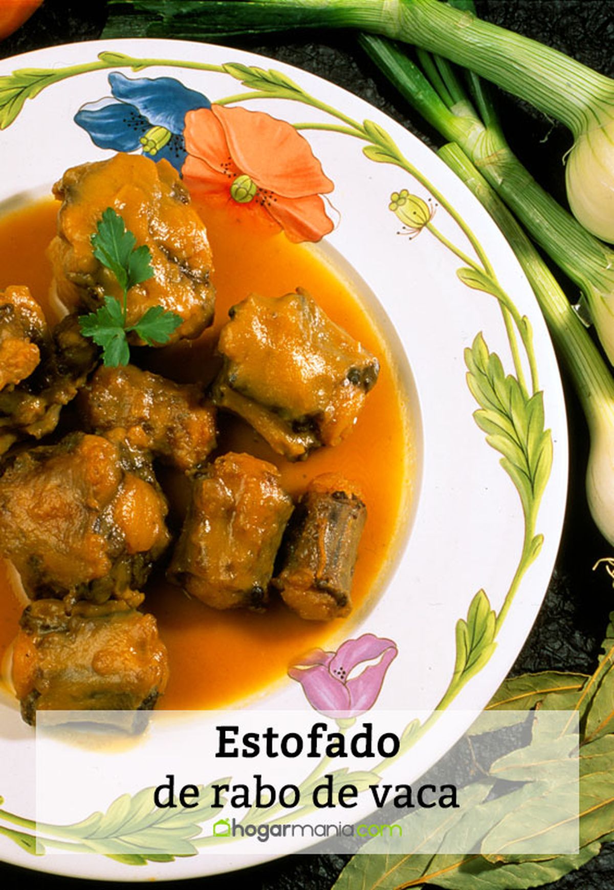 040 1 estofado rabo vaca pin