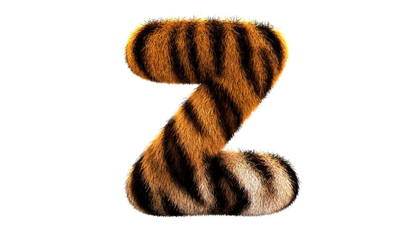 Listado con los animales más conocidos que empiezan por la letra Z.