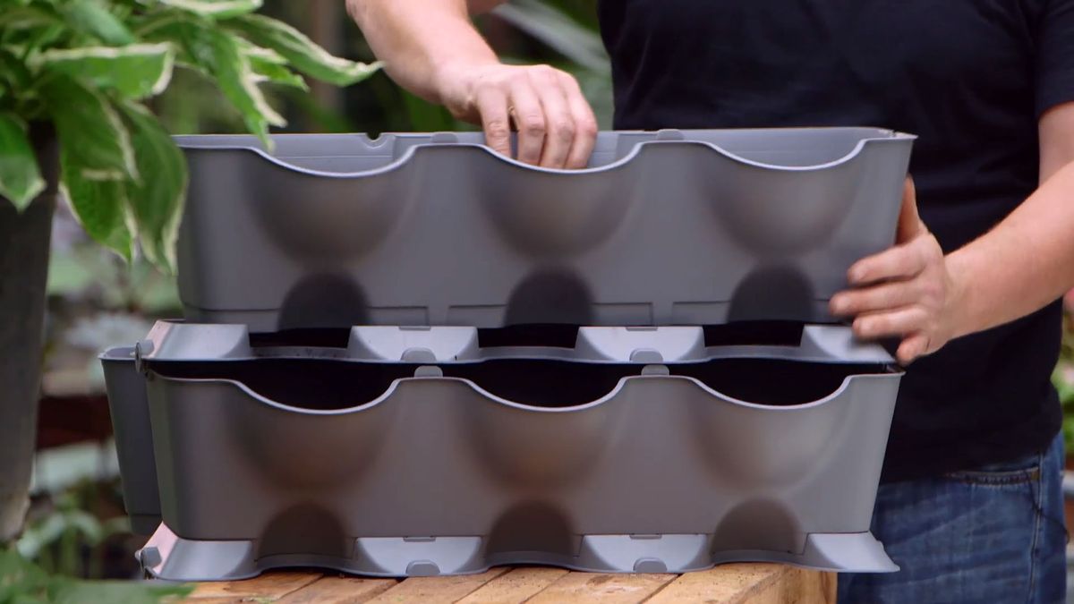 brico 955 3 jardin vertical pared norte kit