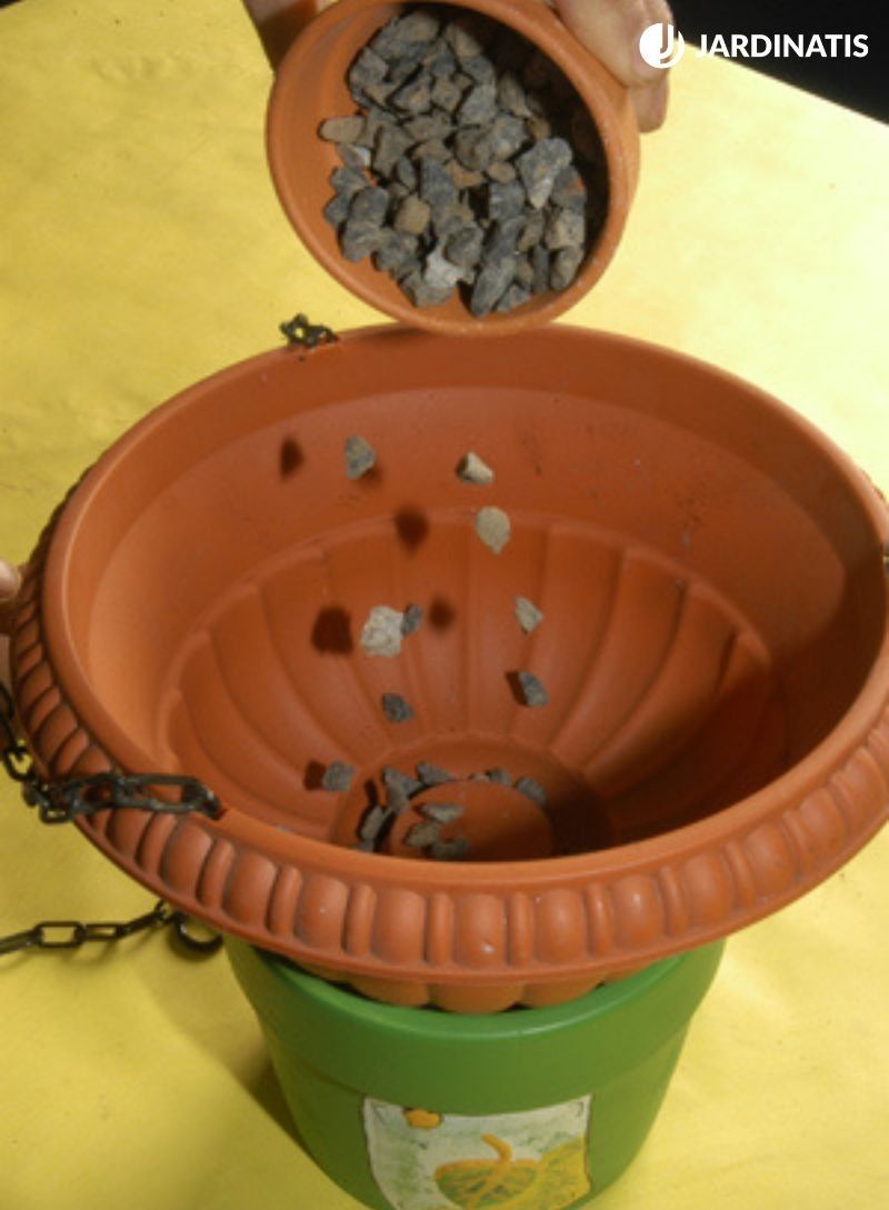 drenaje del cactus