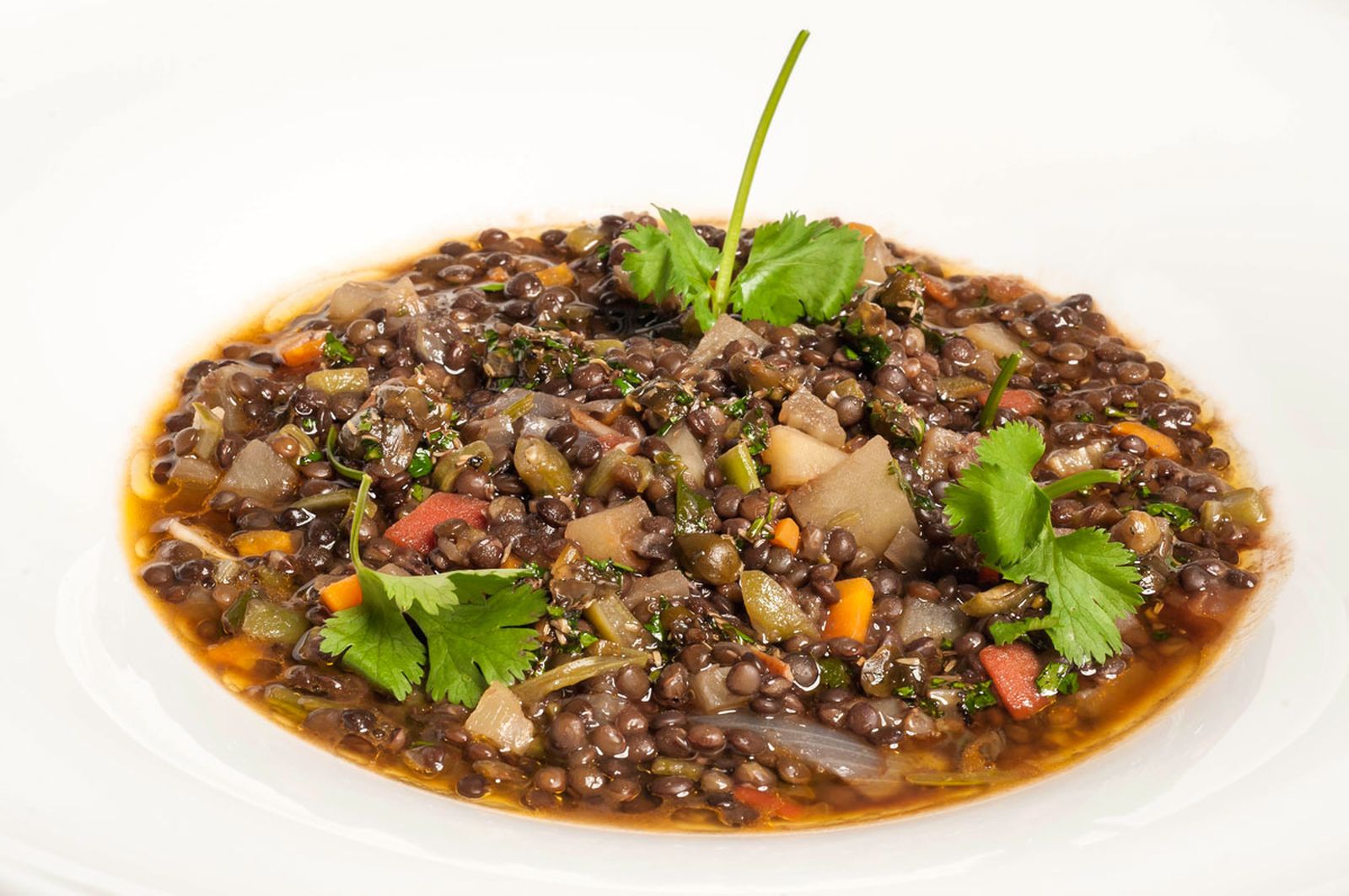 1611 Minestrone de lentejas (795) xl