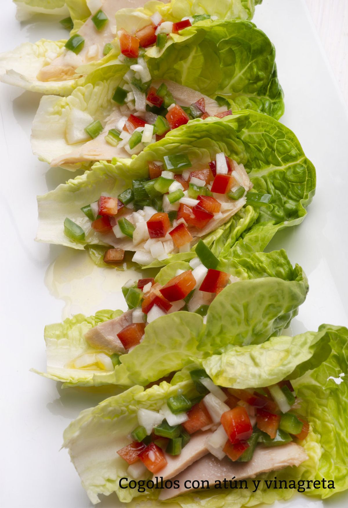 cogollos con atún y vinagreta v