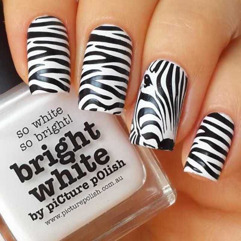 Uñas de cebra en blanco y negro