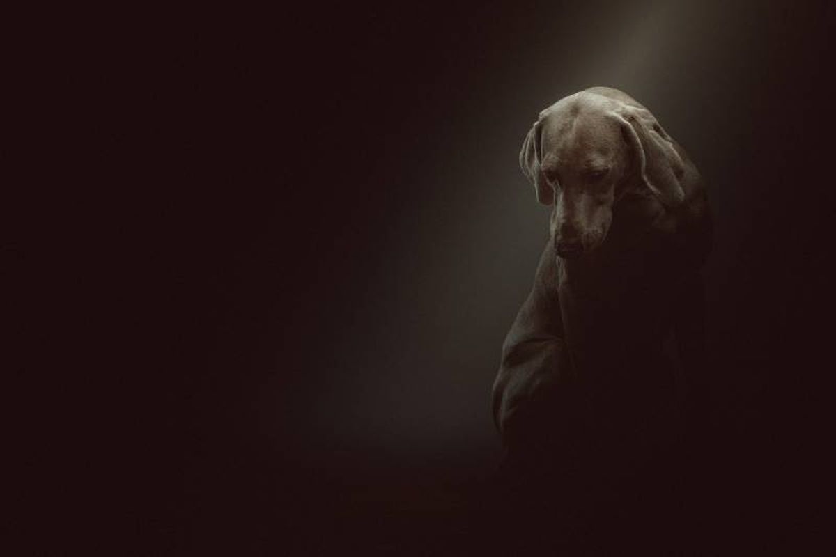 Hay factores que pueden hacer que su tiempo a solas sea más fácil de llevar.