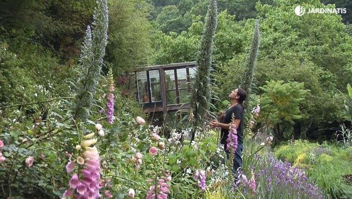 Iñigo Segurola con a un ejemplar de Echium pininana / Foto Hogarmania