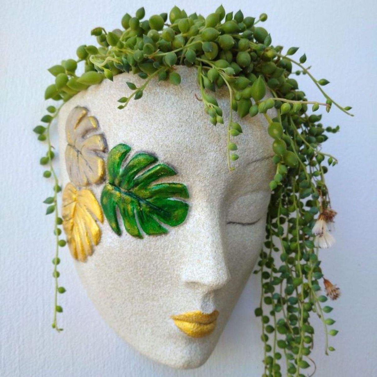 Senecio rowleyanus en maceta / Foto Pinterest de @GloriaCain3