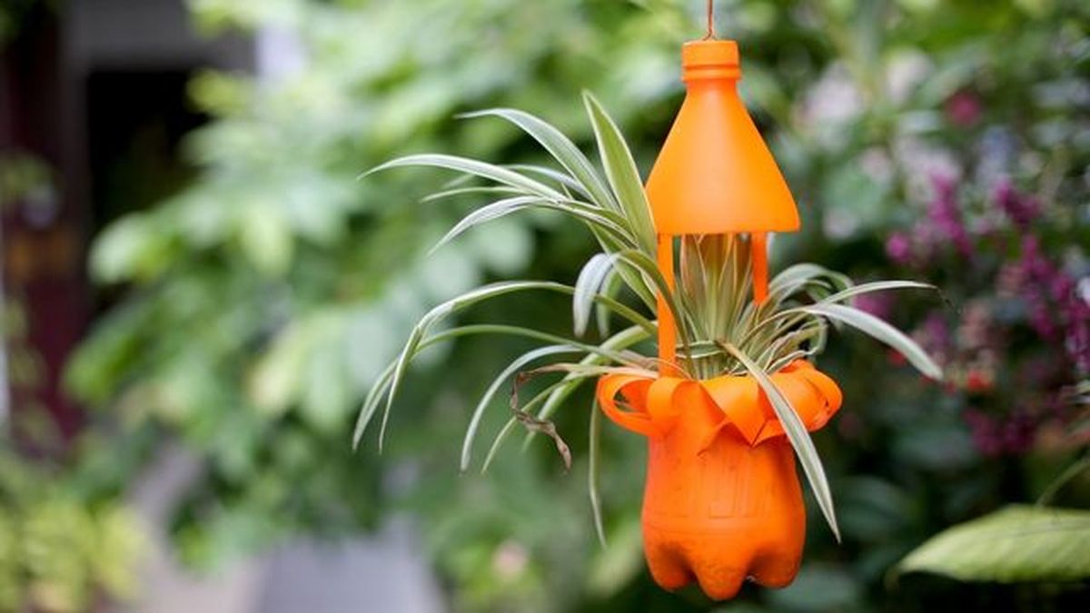 Botellas de plástico como tiesto