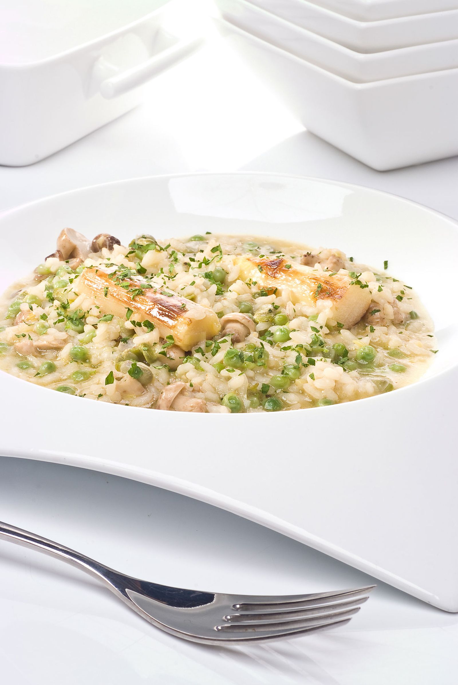 0667 risotto primavera xl