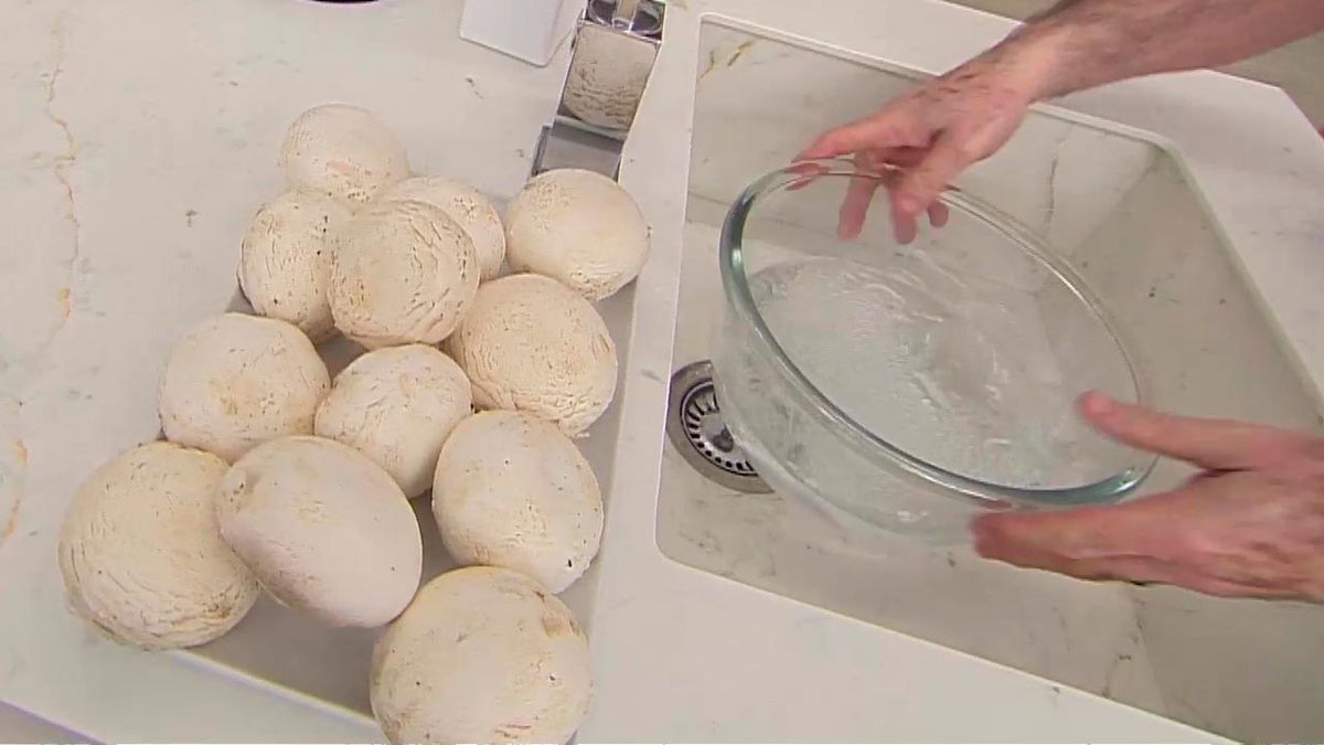 KARL6695 champinones espinacas p1