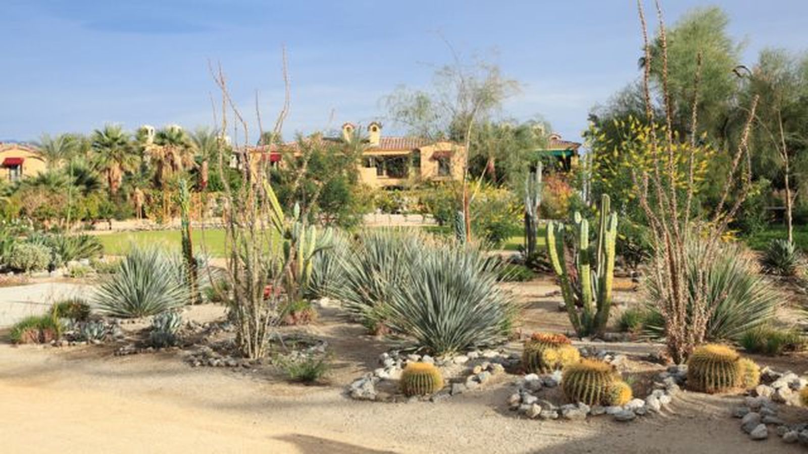 xerojardin que es