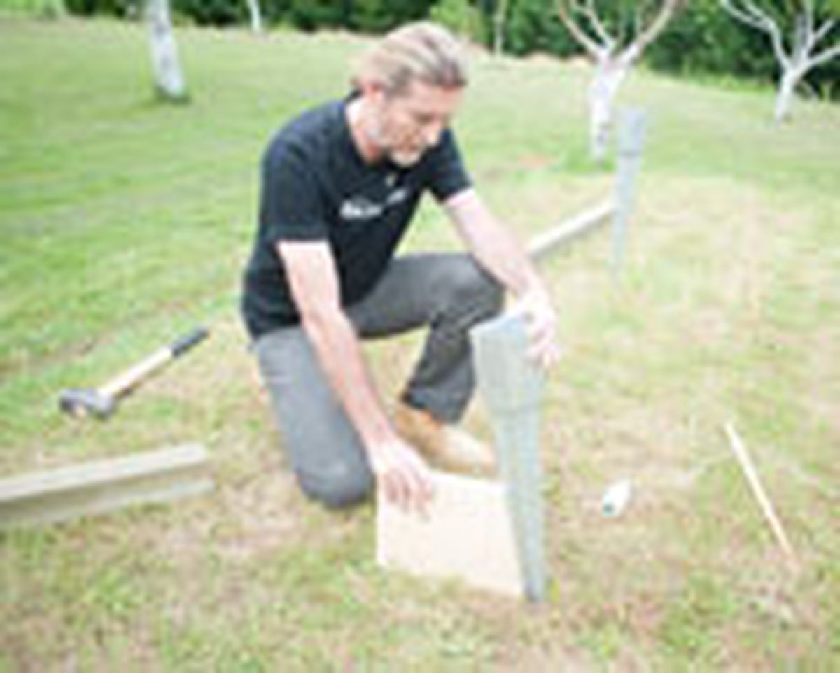 brico 0649 chill out paso 8