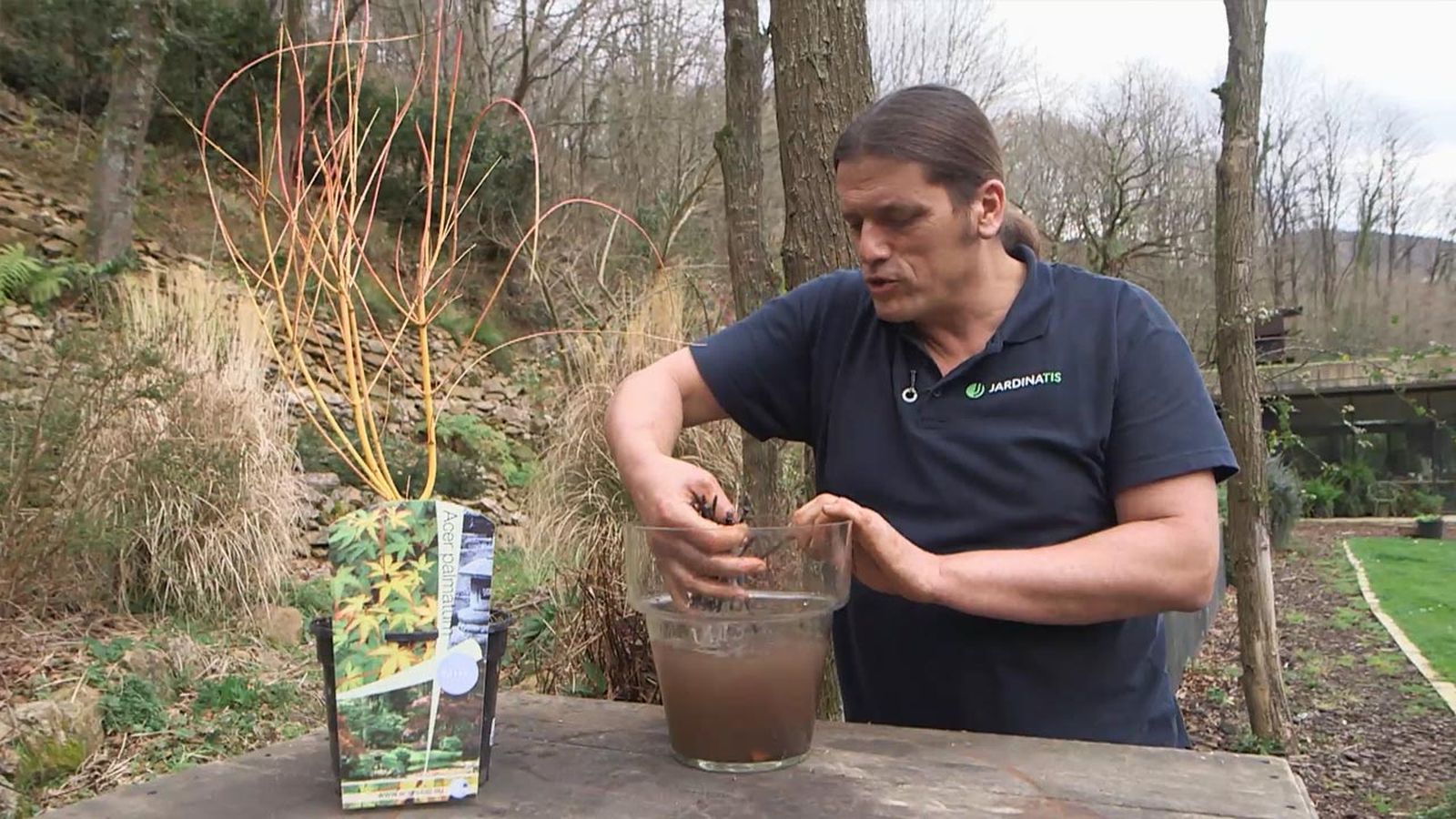 brico 1025 briconsulta agua de clavos para plantas