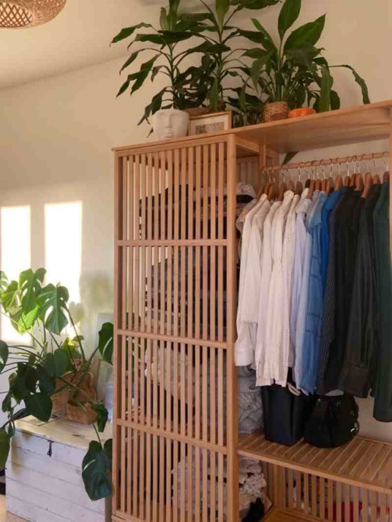 Plantas encima de un armario