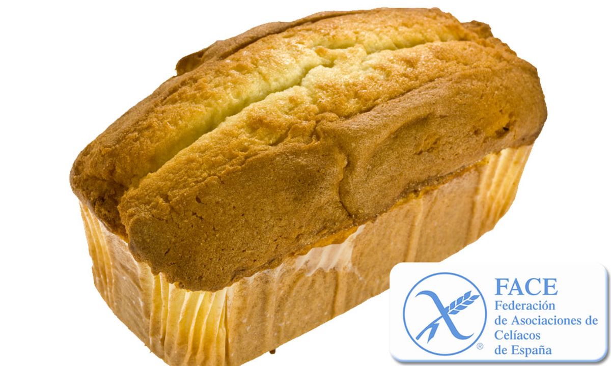 Bizcocho ligero corriente