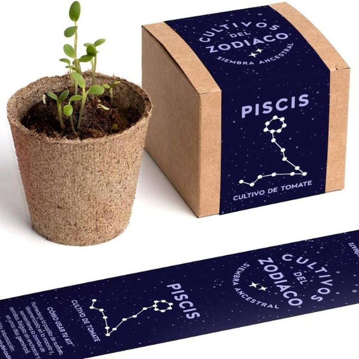 kit autocultivo piscis resetea