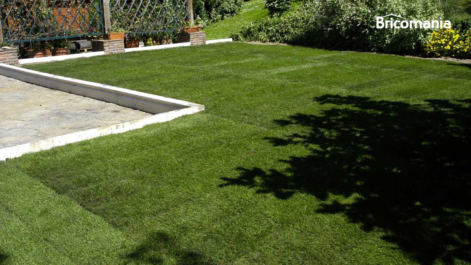 Un jardín de césped natural en la terraza