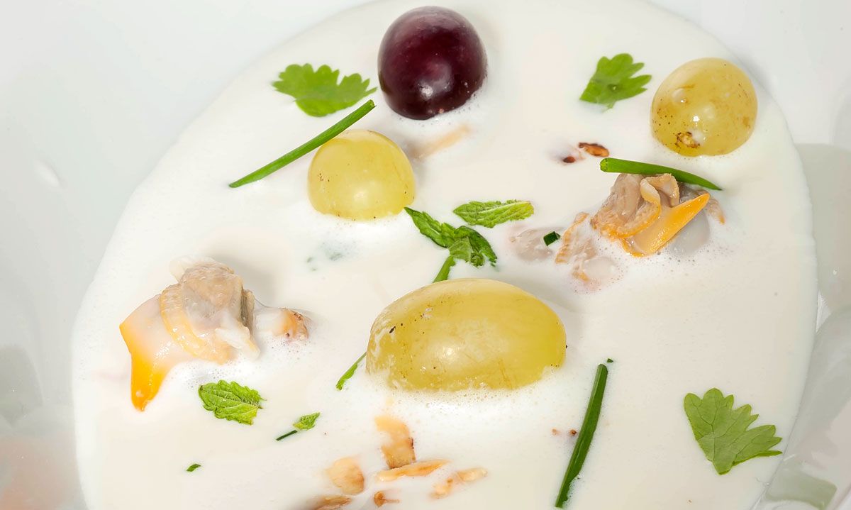 1387 Ajoblanco con berberechos y uva (571) xl