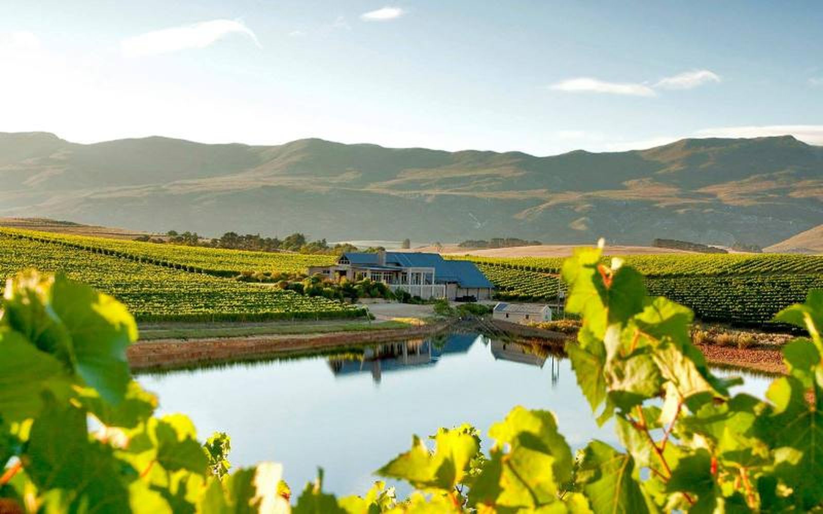 La bodega Creation de Sudáfrica ha conseguido el tercer puesto