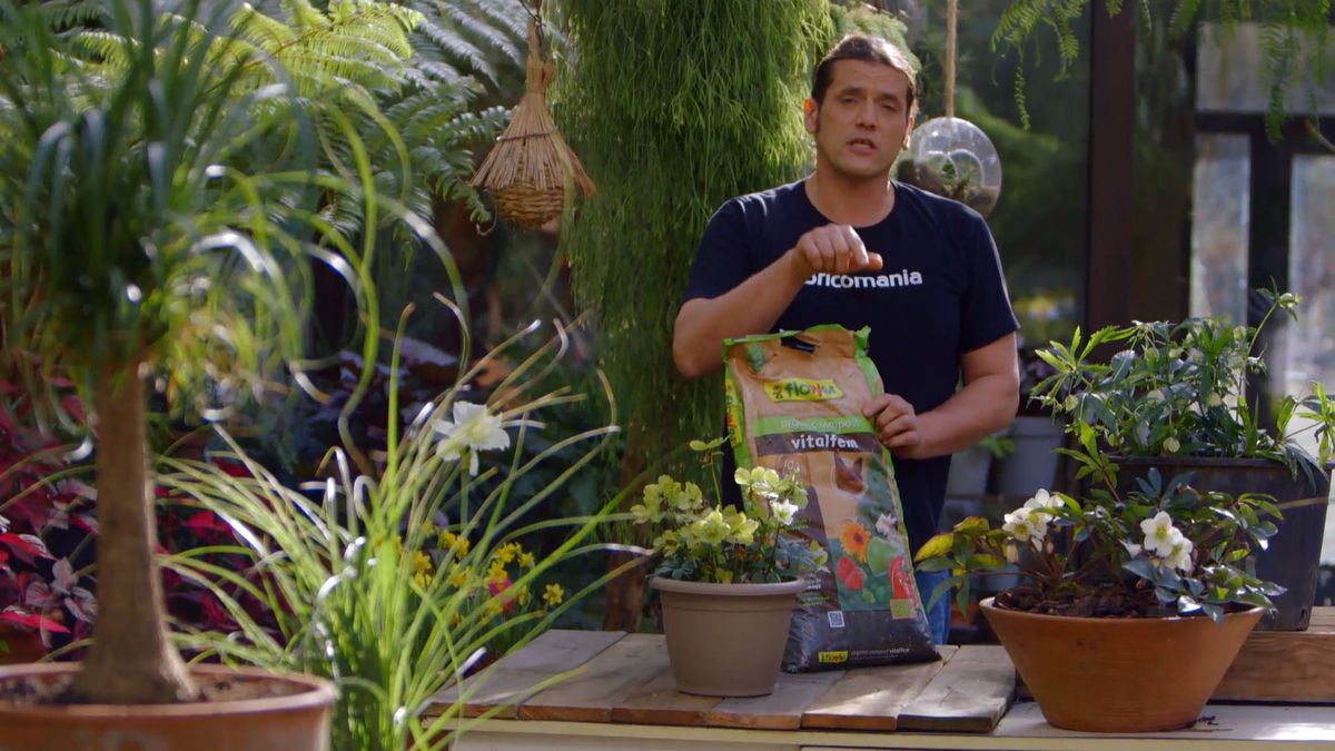 brico 0905 3 2 tipos abonos usos abono huerta estiercol