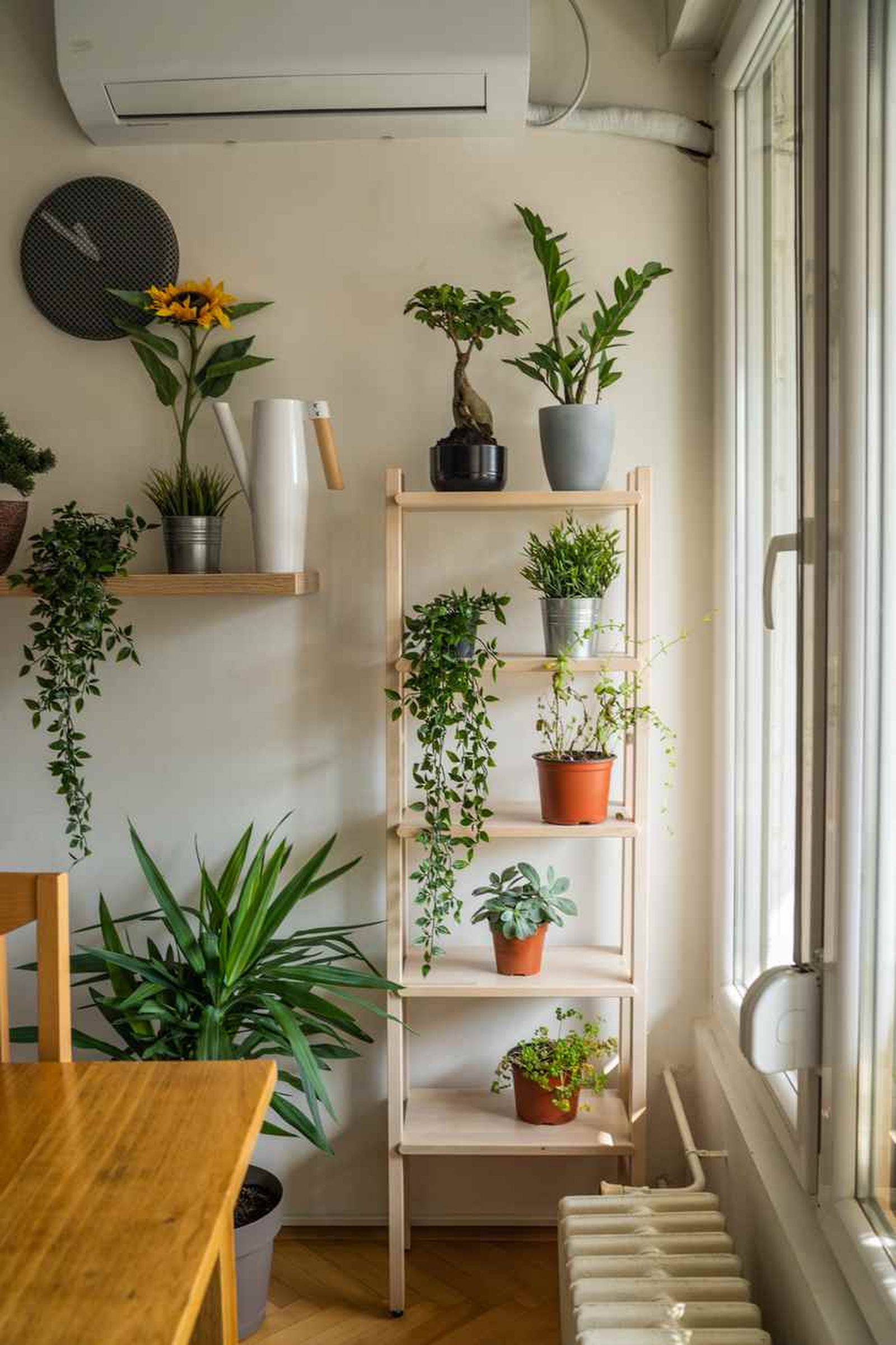 Evita el hacinamiento de las plantas de interior.