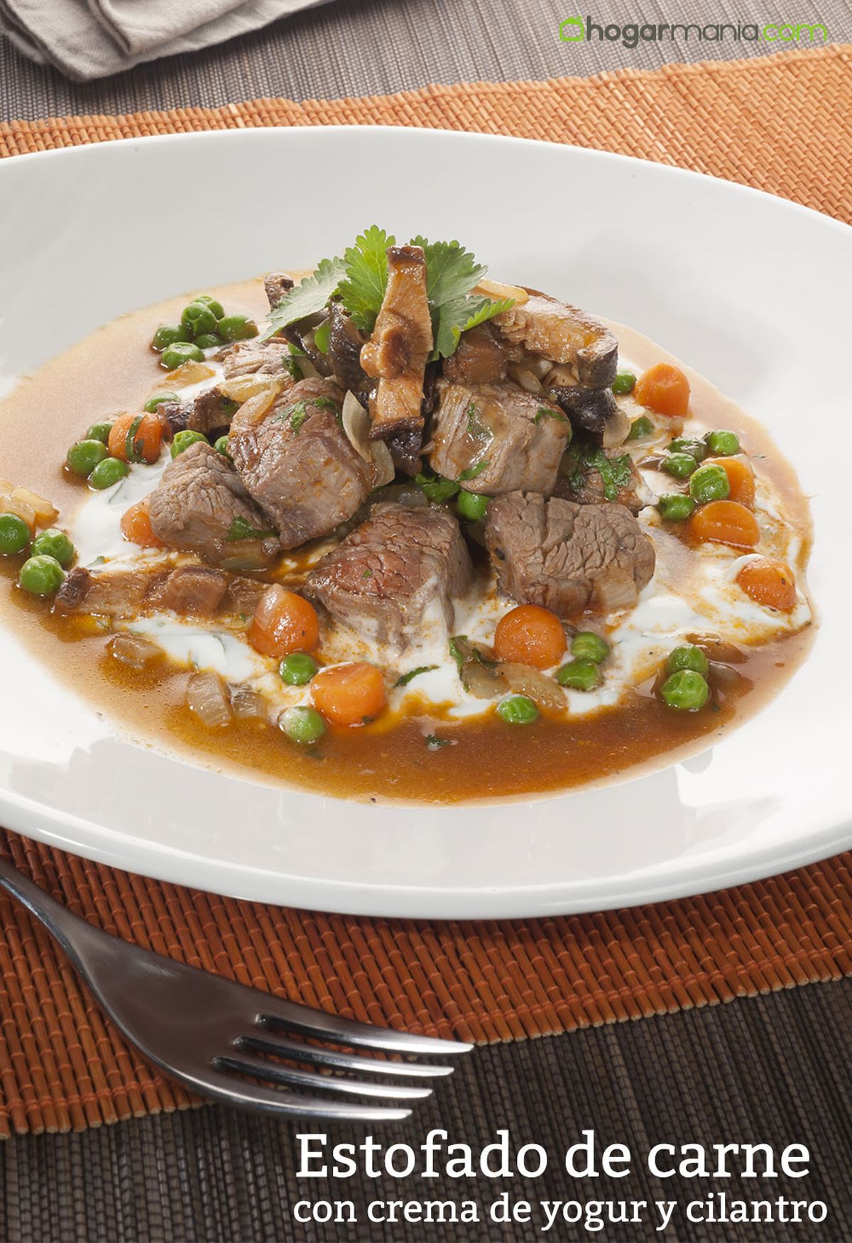 CABI0068 estofado de carne con salsa yogur y cilantro vertical