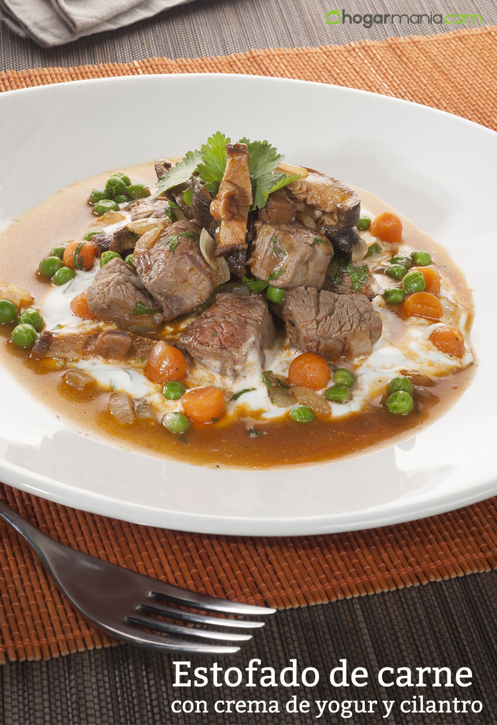 CABI0068 estofado de carne con salsa yogur y cilantro vertical
